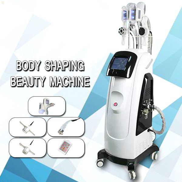 fat ing weight reduce machine with double cool teck cryo lipolysis + lipo laser + cavitation+rf weight reduce slimming for spa ce
fat ing weight reduce machine with double cool teck cryo lipolysis + lipo laser + cavitation+rf weight reduce slimming for spa ce