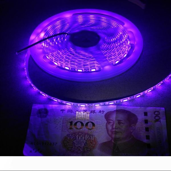 uv light led strip 1m 60leds 5050 395nm-400nm waterproof light night fishing sterilization implicitly party with 12v power supply
uv light led strip 1m 60leds 5050 395nm-400nm waterproof light night fishing sterilization implicitly party with 12v power supply