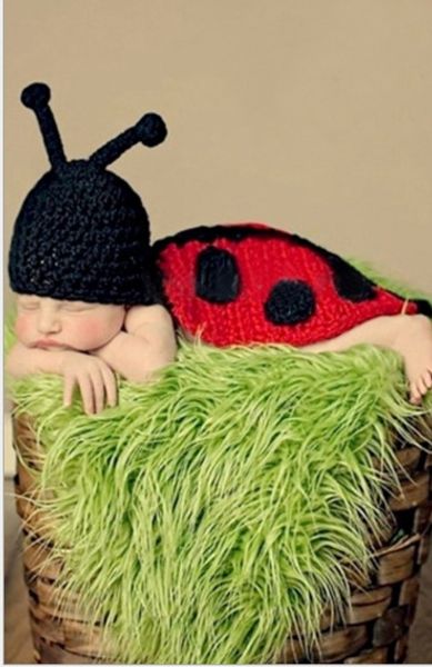 hundred days handmade ladybug hundred days baby handmade pgraphy cloak clothing baby pgraphy clothing ladybug cloak, Blue;gray