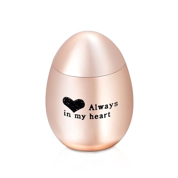 titanium steel always in my heart cremation urns ashes holder keepsake memorial mini urn funeral urn pendant, Silver
titanium steel always in my heart cremation urns ashes holder keepsake memorial mini urn funeral urn pendant, Silver