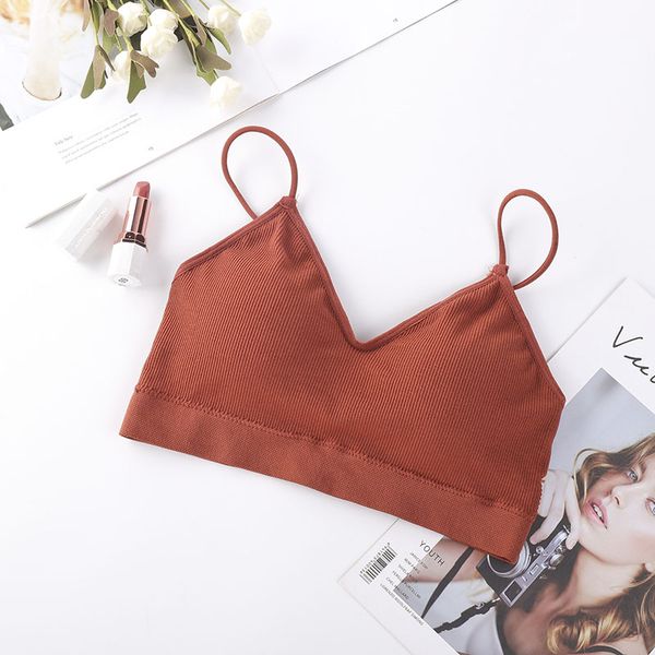 sanderala 2020 threaded comfortable wireless women bralette ladies soft push up strap solid underwear, Red;black
sanderala 2020 threaded comfortable wireless women bralette ladies soft push up strap solid underwear, Red;black