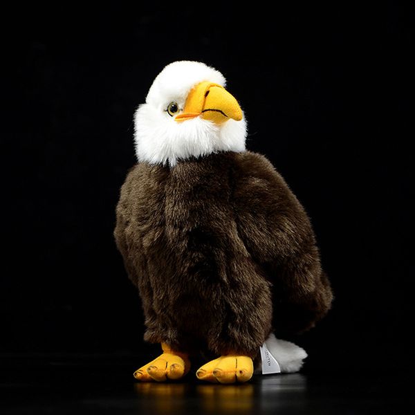 stuffed plush toy bald eagle bird simulation dolls cute lovely haliaeetus leucocephalus animals soft child kids gift collection t200731
stuffed plush toy bald eagle bird simulation dolls cute lovely haliaeetus leucocephalus animals soft child kids gift collection t200731