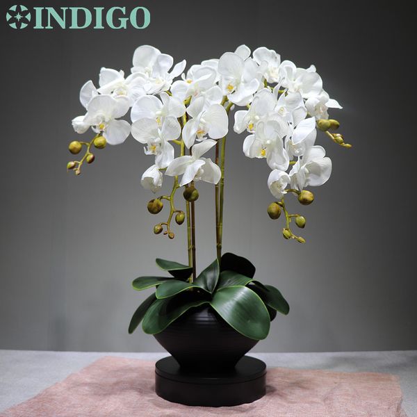 indigo -flower arrangment orchids (4pcs orchid+3pcs leaf) real touch flower dining-table decoration wedding flower ing
indigo -flower arrangment orchids (4pcs orchid+3pcs leaf) real touch flower dining-table decoration wedding flower ing