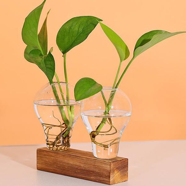 deskglass planter bulb vase with solid wooden stand for hydroponics plants home garden decor
deskglass planter bulb vase with solid wooden stand for hydroponics plants home garden decor