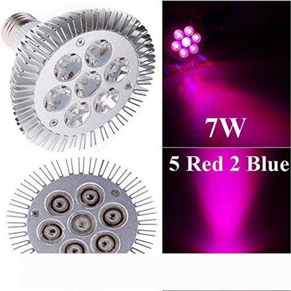 indoor led grow lights 7w 12w 24w 36w 54w e27 led grow lamp par 38 30 bulb for flower plant hydroponics
indoor led grow lights 7w 12w 24w 36w 54w e27 led grow lamp par 38 30 bulb for flower plant hydroponics