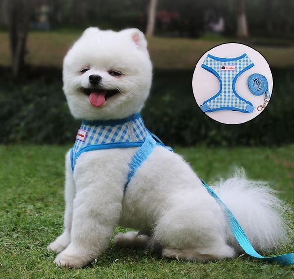 style three color summer dog leash vest comfortable breathable chest strap teddy pomeranian with small medium sized dogs leash
style three color summer dog leash vest comfortable breathable chest strap teddy pomeranian with small medium sized dogs leash