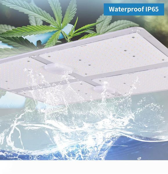 новый водонепроницаемый 450w samsung 301b + 660нм + ir + 3500k роста растений лампы выращивания комнаты лекарственные растения растут и цвет
новый водонепроницаемый 450w samsung 301b + 660нм + ir + 3500k роста растений лампы выращивания комнаты лекарственные растения растут и цвет