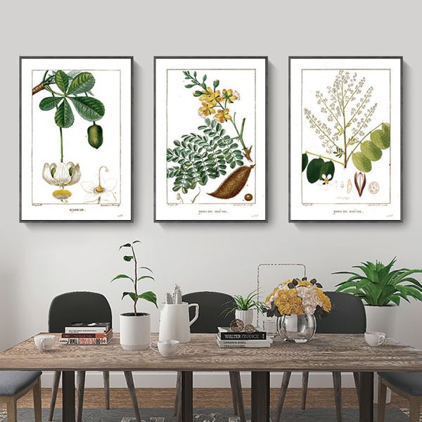 crop flowers and fruits leaf textbook poster canvas painting plant picture wall art modern home decoration for kitchen
crop flowers and fruits leaf textbook poster canvas painting plant picture wall art modern home decoration for kitchen