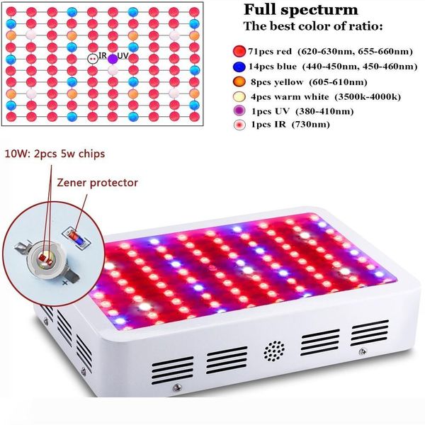 1000w 1200w Led Grow Light Recommeded High Cost-effective Double Chips Full Spectrum Led Grow Lights For Hydroponic Systems