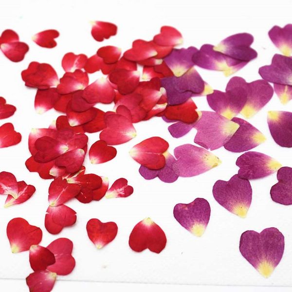 heart shape rose petal dried pressed flower locket for wedding card decoration ent 200pcs
heart shape rose petal dried pressed flower locket for wedding card decoration ent 200pcs