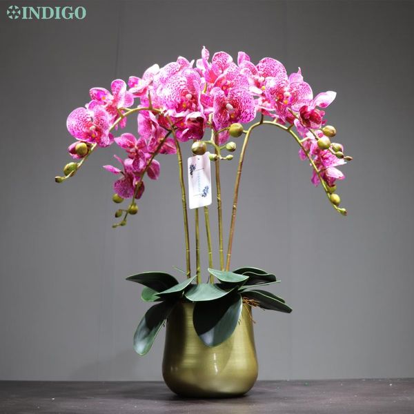 indigo-фиолетовый пятна орхидея diy цветок arrangment (5шт цветок + 3шт лист + pot) real касания свадебные украшения офиса бесплатная достав
indigo-фиолетовый пятна орхидея diy цветок arrangment (5шт цветок + 3шт лист + pot) real касания свадебные украшения офиса бесплатная достав