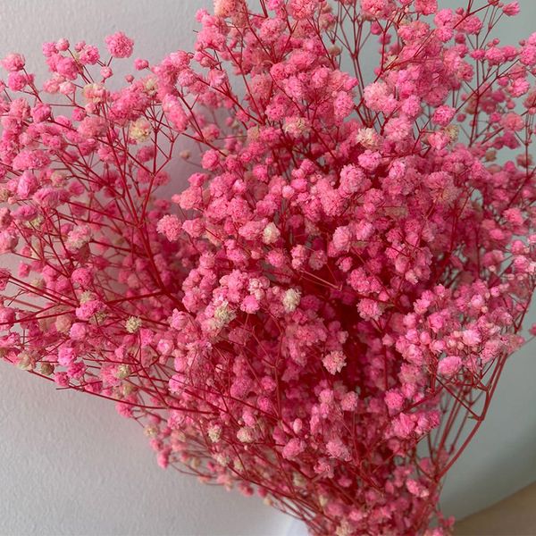 5 colors real touch flowers for wedding bridal bouquet natural dried babies breath flowers bouquets reed pampas grass
5 colors real touch flowers for wedding bridal bouquet natural dried babies breath flowers bouquets reed pampas grass