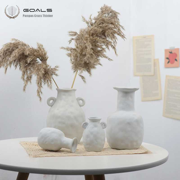20pcs wedding decor pampas flower pure natural bunch pampas grass plants real dried reed plants christmas decorations
20pcs wedding decor pampas flower pure natural bunch pampas grass plants real dried reed plants christmas decorations