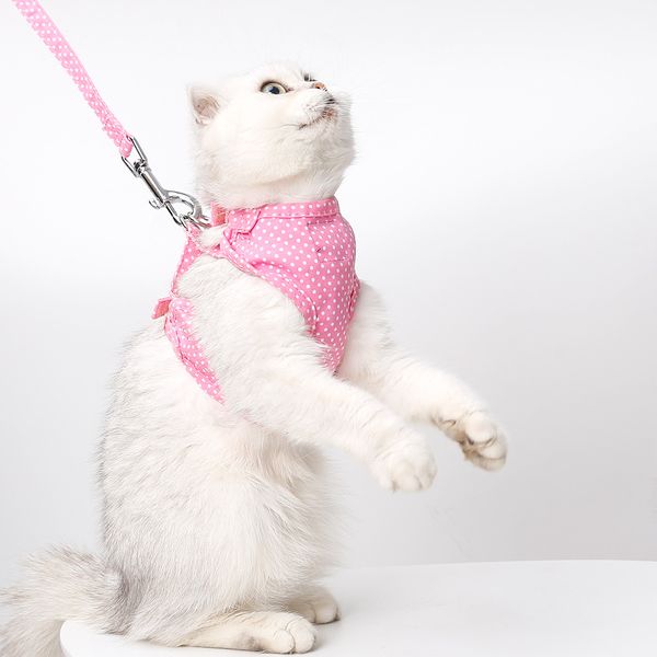 всего продажа два сладкие клубники горошек pet тяговый канат chest harness щенок cat chest задняя крышка выходят собака цепи собака rope
всего продажа два сладкие клубники горошек pet тяговый канат chest harness щенок cat chest задняя крышка выходят собака цепи собака rope