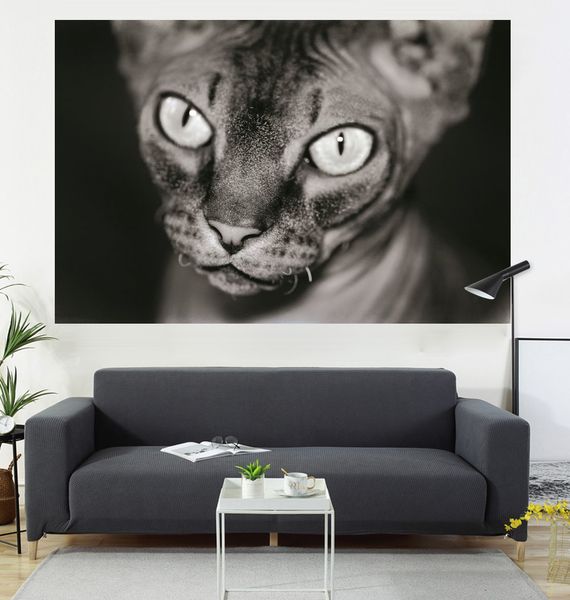black background kitten painting hanging flag, interior decoration painting, 600d4 buckle 100 * 150cm
black background kitten painting hanging flag, interior decoration painting, 600d4 buckle 100 * 150cm