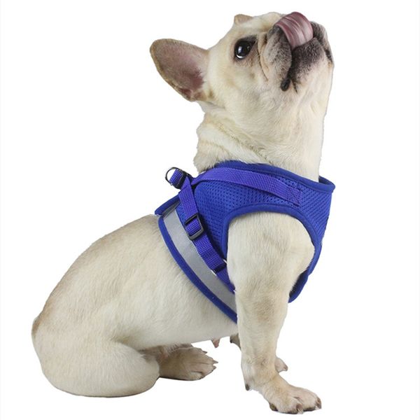 pet dog cat harness with leash adjustable vest walking supplies soft breathable plaid collar puppy for small medidum large dogs
pet dog cat harness with leash adjustable vest walking supplies soft breathable plaid collar puppy for small medidum large dogs