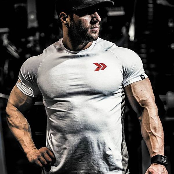 спортивная лето новый стиль muscle fitness brothers спорт досуг футболка мужская с коротким рукавом женщин запуск чистого хлопка, Black;blue
спортивная лето новый стиль muscle fitness brothers спорт досуг футболка мужская с коротким рукавом женщин запуск чистого хлопка, Black;blue