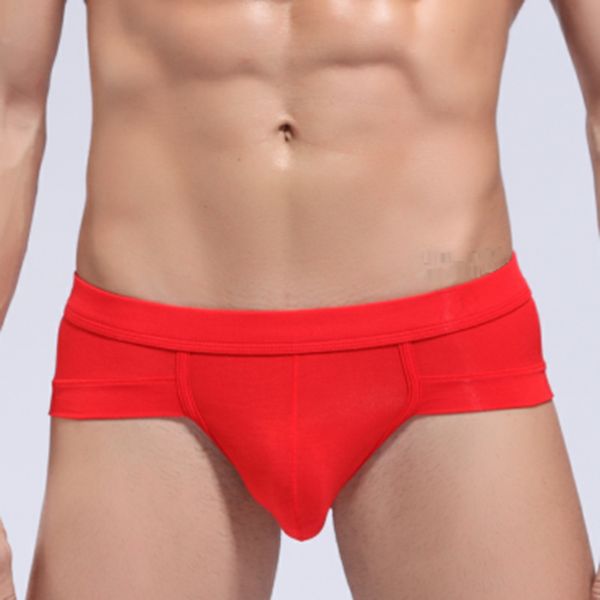 men briefs underwear men's breathable brief underpants comfortable clothing male modal cueca hombre men panties, Black;white