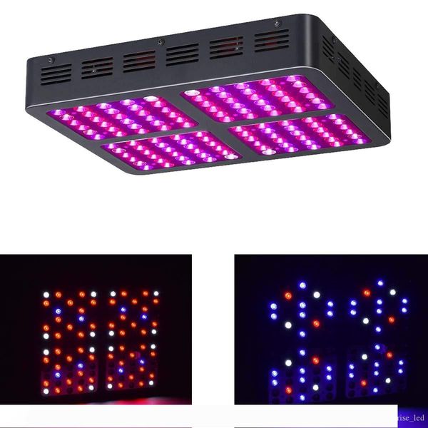 double switch bloom veg 1200w led plant grow light,full spectrum 1200w plant light for indoor plants growing- 1200w(10w leds 120pcs
double switch bloom veg 1200w led plant grow light,full spectrum 1200w plant light for indoor plants growing- 1200w(10w leds 120pcs