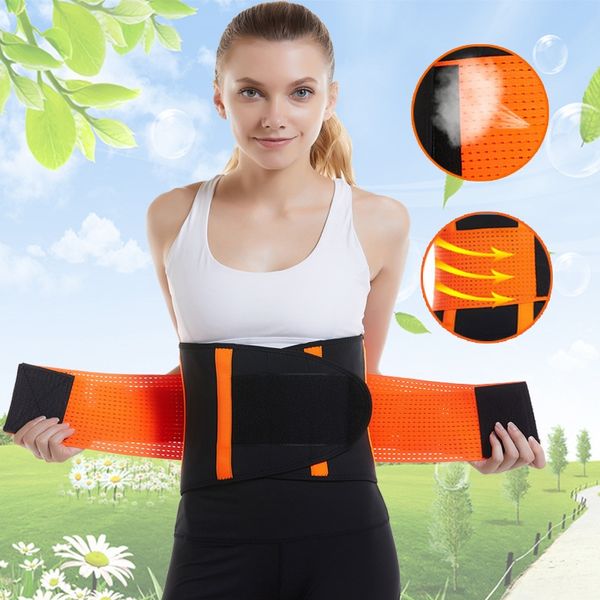 fitness sports diving material color support belly adjustable weightlifting waist protection protective belt belt belt, Black;gray
fitness sports diving material color support belly adjustable weightlifting waist protection protective belt belt belt, Black;gray