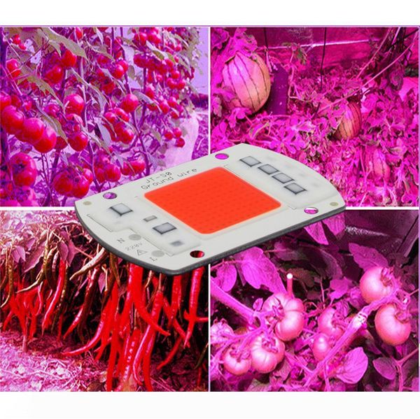 5pcs full spectrum led grow light chip diy 220v ac cob 380~780nm actrual power 20w 30w 50w replace sunlight for indoor plants
5pcs full spectrum led grow light chip diy 220v ac cob 380~780nm actrual power 20w 30w 50w replace sunlight for indoor plants