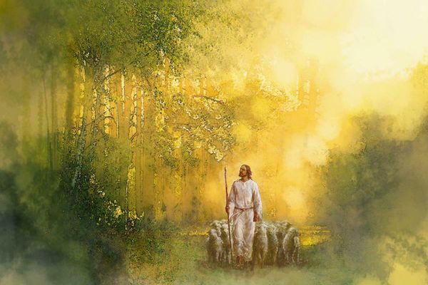 yongsung kim jesus leading sheep through forest home decor handpainted &hd print oil paintings on canvas wall art pictures a112
yongsung kim jesus leading sheep through forest home decor handpainted &hd print oil paintings on canvas wall art pictures a112