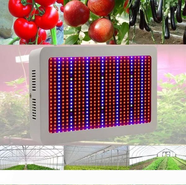 2pcs full spectrum 600w 800w led grow light kit medical lamp lights power cord 10w hydroponic grow lamps ac 85-265v us eu au uk plug 
2pcs full spectrum 600w 800w led grow light kit medical lamp lights power cord 10w hydroponic grow lamps ac 85-265v us eu au uk plug