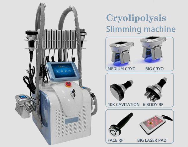 5 in 1 vacuum body slimming lipoe 40khz ultrasonic cavitation radio frequency multipolar rf fat ing vacuum body slimming machine
5 in 1 vacuum body slimming lipoe 40khz ultrasonic cavitation radio frequency multipolar rf fat ing vacuum body slimming machine