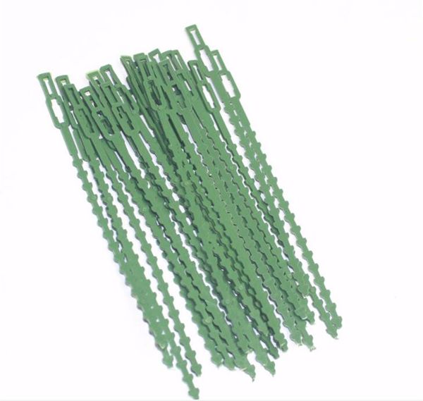plastic plant cable ties reusable cable ties for garden tree climbing support adjustable garden plant tying tool
plastic plant cable ties reusable cable ties for garden tree climbing support adjustable garden plant tying tool
