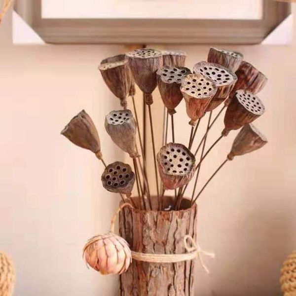 natural dried flowers dried eucalyptus leaf real branch acorn pine nordic home wedding party decoration flower decoration
natural dried flowers dried eucalyptus leaf real branch acorn pine nordic home wedding party decoration flower decoration