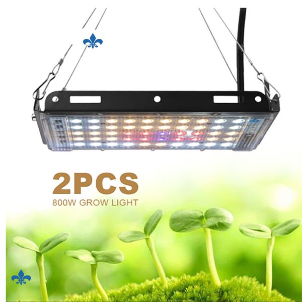 2020 hottest led grow light 800w растения лампа для комнатных растений и цветов теплица grow палатка
2020 hottest led grow light 800w растения лампа для комнатных растений и цветов теплица grow палатка