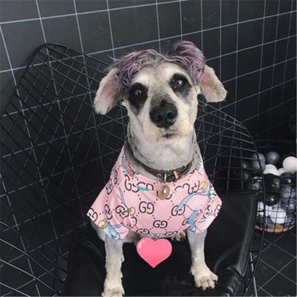 pink color fashion casual design dog shirt personality pet coat christmas day gift letter pattern cat clothing fast shipping
pink color fashion casual design dog shirt personality pet coat christmas day gift letter pattern cat clothing fast shipping