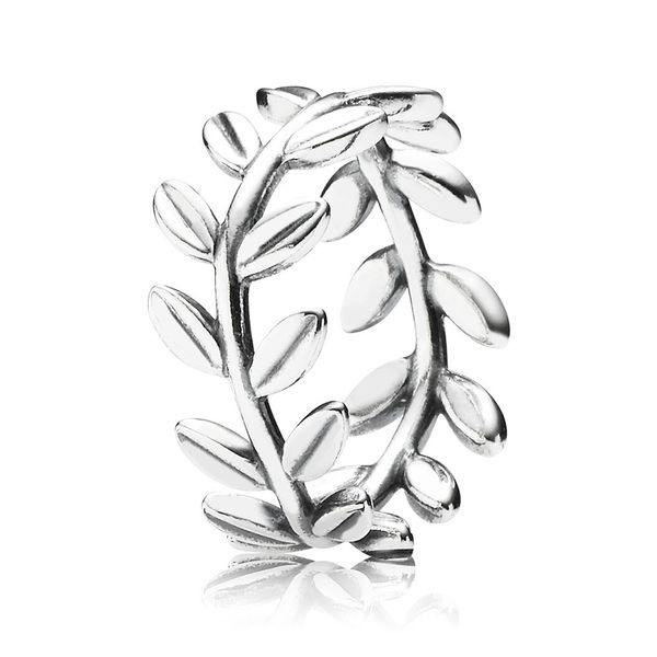 authentic ale 925 sterling silver laurel wreath leaves ring new sale luxury designer jewelry women minimalistic band rings with pandora box
authentic ale 925 sterling silver laurel wreath leaves ring new sale luxury designer jewelry women minimalistic band rings with pandora box