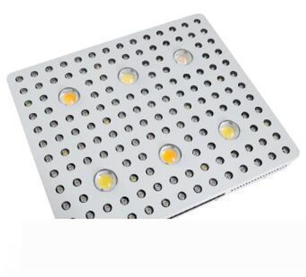 последняя лампа cob 3000w cxa2530 cxb3590 рост амазонки, 3000k 5000k светодиодные лампы роста полный спектр света высокой эффективности цвет
последняя лампа cob 3000w cxa2530 cxb3590 рост амазонки, 3000k 5000k светодиодные лампы роста полный спектр света высокой эффективности цвет