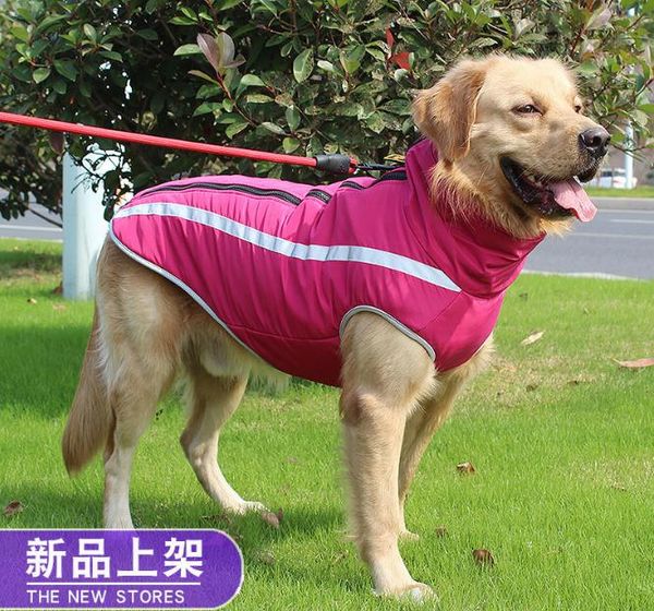 autumn winter warm dog clothing windproof heat storage smooth pull neck adjustable reflective pet clothing xl-5xl size
autumn winter warm dog clothing windproof heat storage smooth pull neck adjustable reflective pet clothing xl-5xl size