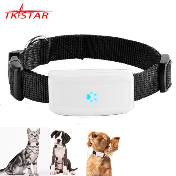 2g gsm gps tracker pet tk911 gps locator tkstar mini pets tracker 2g gsm dog with app waterproof ip67
2g gsm gps tracker pet tk911 gps locator tkstar mini pets tracker 2g gsm dog with app waterproof ip67