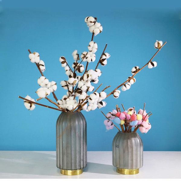 3 pcs natural cotton balls dired flower plants dry real flowers wedding party christmas home diy decoration white colour
3 pcs natural cotton balls dired flower plants dry real flowers wedding party christmas home diy decoration white colour