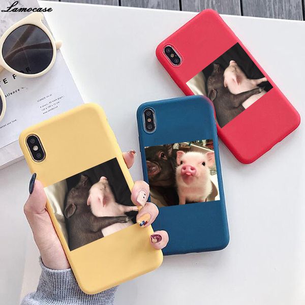 lamocase lovely pig couple case for xiaomi redmi note 4 4x 5 5a 6 7 8 pro 3s 4a go 6 6a s2 plus 7a note 8 8a soft phone cover
lamocase lovely pig couple case for xiaomi redmi note 4 4x 5 5a 6 7 8 pro 3s 4a go 6 6a s2 plus 7a note 8 8a soft phone cover