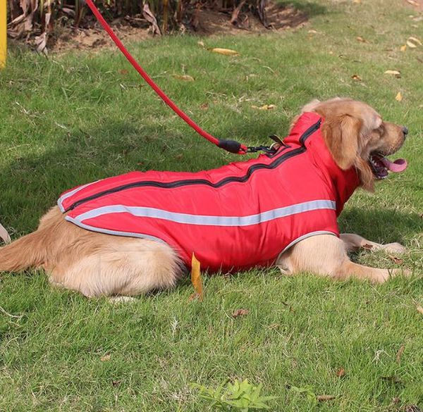 popular autumn winter warm dog clothing windproof heat storage smooth pull neck adjustable reflective pet clothing xl-5xl size
popular autumn winter warm dog clothing windproof heat storage smooth pull neck adjustable reflective pet clothing xl-5xl size