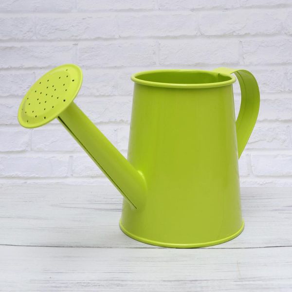 1pc iron watering can household gardening watering can long spout pot sprinkled kettle for plants (light green
1pc iron watering can household gardening watering can long spout pot sprinkled kettle for plants (light green