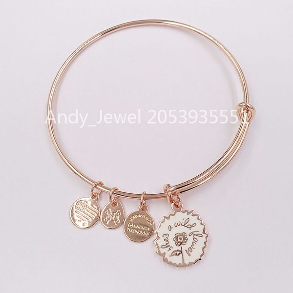 authentic 925 sterling silver pendants she's a wildflower color infusion charm bangle shiny rose gold fits european bear jewelry style, Black
authentic 925 sterling silver pendants she's a wildflower color infusion charm bangle shiny rose gold fits european bear jewelry style, Black