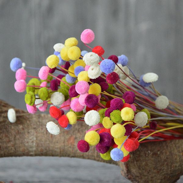 10pcs/lot natural button dried flower bouquets ins eternal flowers accessories for home party wedding decor pgraphy props
10pcs/lot natural button dried flower bouquets ins eternal flowers accessories for home party wedding decor pgraphy props