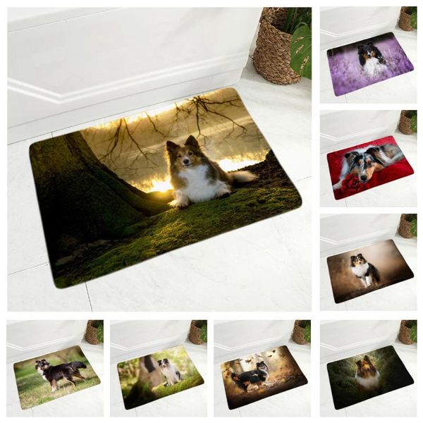 shetland sheepdog floor mat flannel carpet for hallway bedroom dog rug door mat non-slip decor pet dog animal doormat 40x60cm
shetland sheepdog floor mat flannel carpet for hallway bedroom dog rug door mat non-slip decor pet dog animal doormat 40x60cm