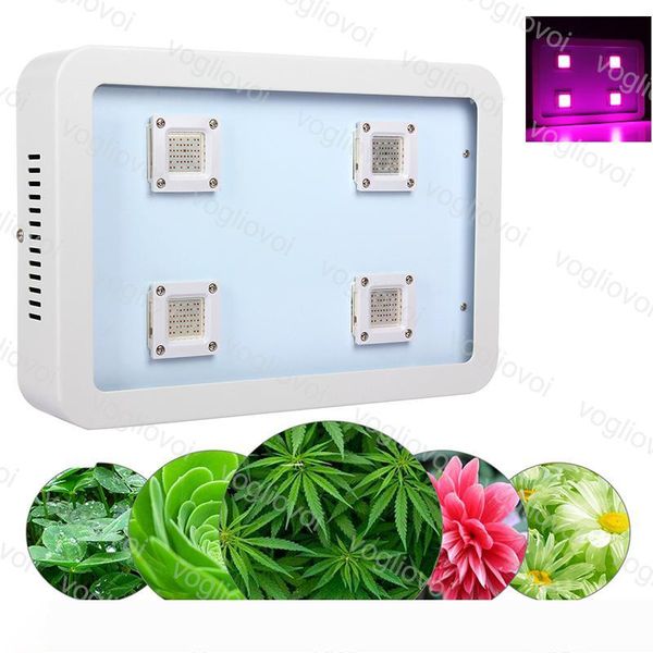 full spectrum led grow lights 1200w x4 cob aluminium for plant indoor outdoor hydroponic greenhouse lighting dhl
full spectrum led grow lights 1200w x4 cob aluminium for plant indoor outdoor hydroponic greenhouse lighting dhl