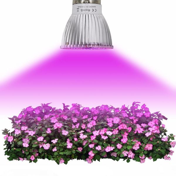 phyto lamps full spectrum e27 led plant light grow lamp e14 led for plants 18w 28w fitolampy greenhouse tent bulbs uv ir
phyto lamps full spectrum e27 led plant light grow lamp e14 led for plants 18w 28w fitolampy greenhouse tent bulbs uv ir