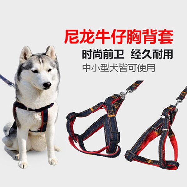 dog leash dog rope dog chain bago pet supplies large medium and small dogs chest strap samoyed
dog leash dog rope dog chain bago pet supplies large medium and small dogs chest strap samoyed