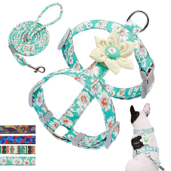 нейлон нет прицепные собака harness printed регулируемая pet puppy жгут жилет walking поводок lead для малого среднего собаки кошки чихуахуа
нейлон нет прицепные собака harness printed регулируемая pet puppy жгут жилет walking поводок lead для малого среднего собаки кошки чихуахуа