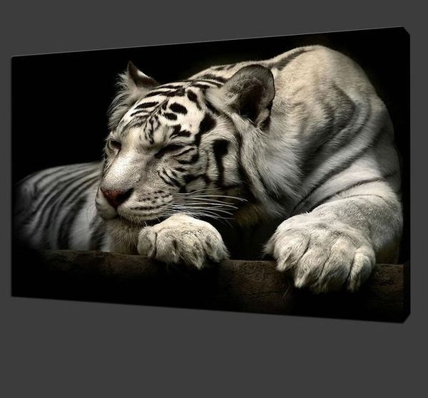 white tiger canvas paintings nordic animal posters & prints for living room modern wall art picture home decor cuadros decoracion
white tiger canvas paintings nordic animal posters & prints for living room modern wall art picture home decor cuadros decoracion