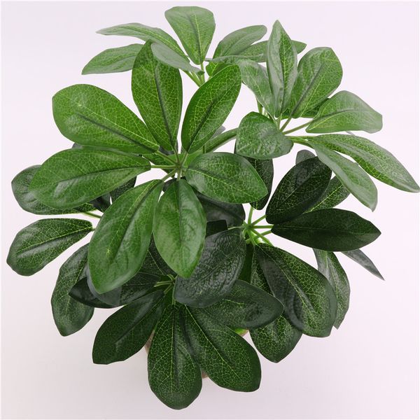 artificial schefflera ocylla leaves indoor bonsai tree potted money tree plant garden home decor
artificial schefflera ocylla leaves indoor bonsai tree potted money tree plant garden home decor