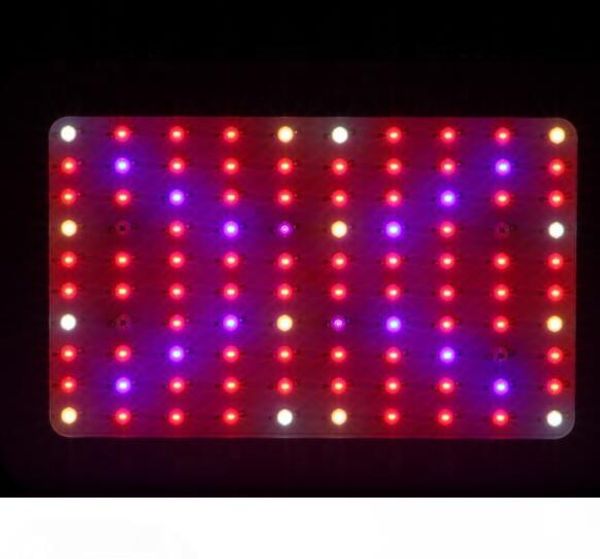 tent 1000w led plant growth lamp, led indoor plant growth lamp full spectrum double vegetable flowering plant growth and flowering
tent 1000w led plant growth lamp, led indoor plant growth lamp full spectrum double vegetable flowering plant growth and flowering